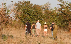 Livingstone Walking Safari